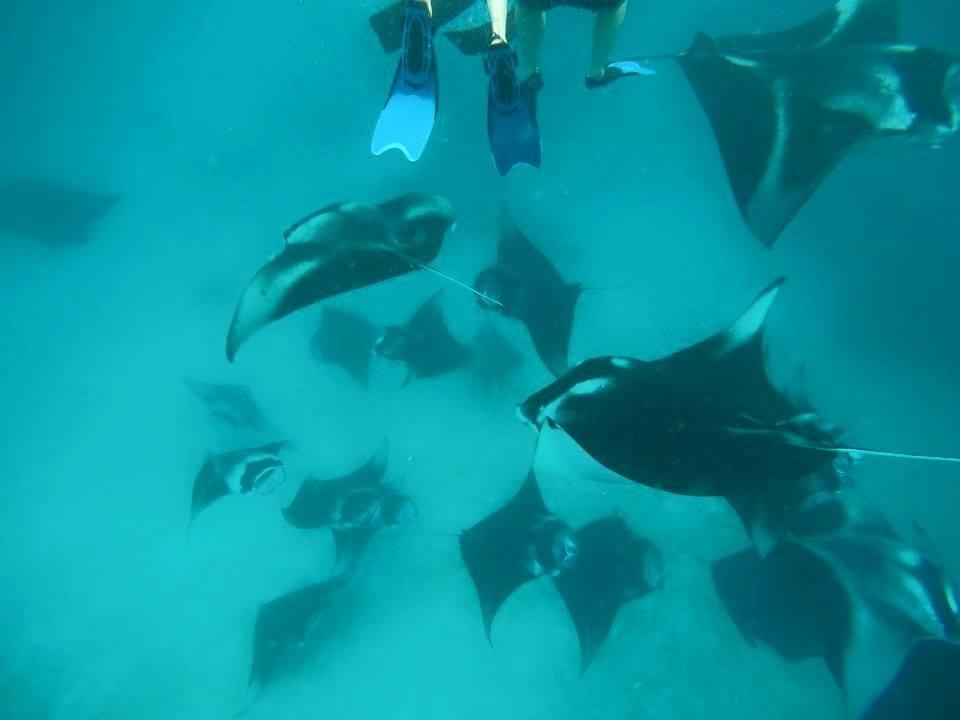 Summer Shade Maldives 达拉万度 外观 照片